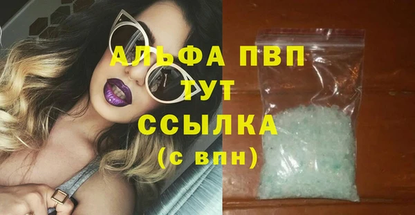 стаф Балахна