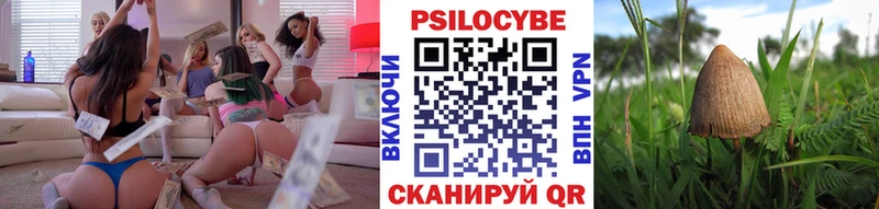 Псилоцибиновые грибы прущие грибы  Спасск-Рязанский 